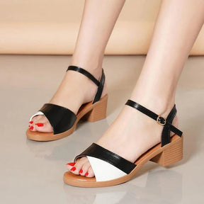 Sandália Feminina Confortável - Stella (Promoção Verão)